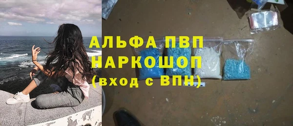 эйфоретик Инсар