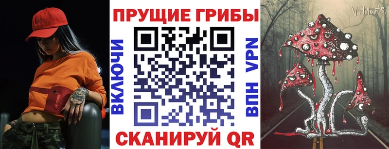 Галлюциногенные грибы Psilocybe  Кондрово 