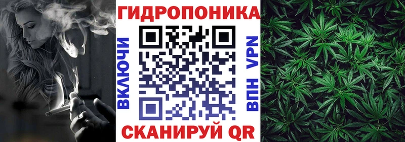 Конопля семена  где найти наркотики  Кондрово 